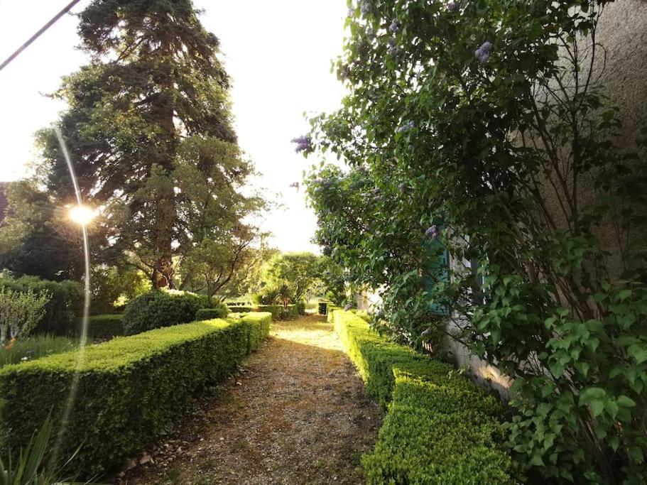 Апартаменты Charmant Studio Avec Jardin A La Campagne Sur Le Chemin De Saint Jacques De Compostelle Лозерт Экстерьер фото